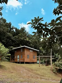 Cabin hidden paradise, cozy & romantic loft cabin - Image 3