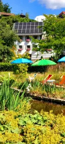 Climate-friendly holiday, in the little house - Image 4