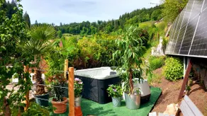 Climate-friendly holiday, in the little house - Image 3