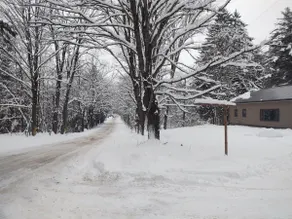 Secluded 3 Bedroom cabin w/4+ private acres - Image 2