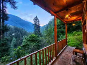 🏡JUNGLE TRAILS COTTAGE🌲SMART TV AND POWER BACKUP - Image 2