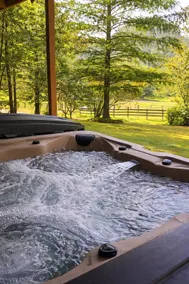 Premium A-Frame • Hot Tub • Sauna • Pond & Animals - Image 3