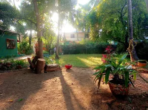 Interlude Cottage - come blend with nature - Image 3