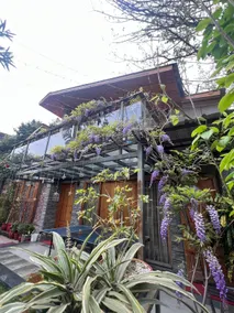 The Wisteria Cottage (pvt 2BR + LR + lawn) - Image 2