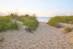 ☀️Easy Family Basecamp | Walk to Tawas Point + Firepit - Image 2