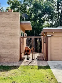 Oasis: 1 Br w/ (shared) Yard in Nice Neighborhood - Image 3