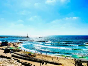 Beachfront luxury - Image 2