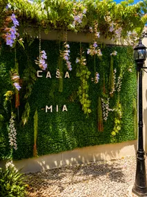 Casa MIA - Image 3