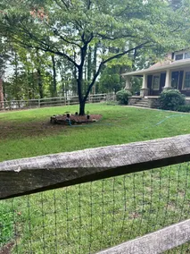 Country Oasis in the City - Best of Both Worlds - Image 3