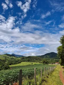 Cachoeira de Minas Site - Image 5