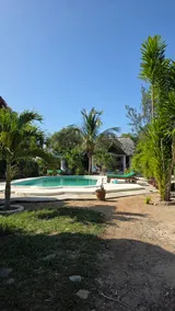 Cool and relaxing 4 bedroom villa with a pool and bar. Awesome for group trips and large families .. - Image 3