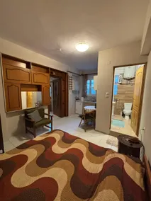 Ground floor 2 room apartment with barbeque. - Image 2