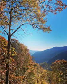 Fall Mountain Escape • Hot Tub • 5 Min to Parkway - Image 3