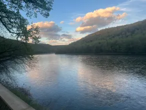 Riverfront Paradise - 3BR/2B House on Allegheny - Image 2