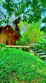 Wooden House - Image 5
