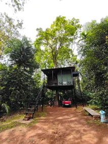 Greenacres Tree House - Image 2
