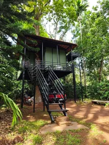 Greenacres Tree House - Image 4