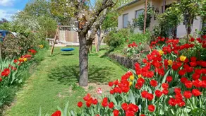 Family home 30 min. from EUROPA-PARK - RULANTICA - Image 3
