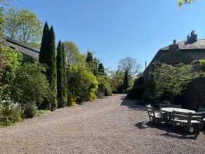 The Courtyard Mallow - Image 5
