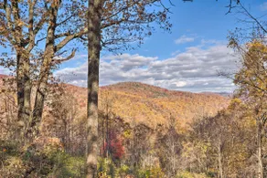 Tranquil Hendersonville Cabin w/ Mountain Views! - Image 2