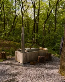 Mountaintop Retreat with Wood Fired Hot Tub - Image 2