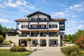 Stunning Manor on Top of the Hills - Image 2