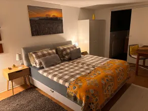 Beautiful room with kitchen, big bathroom, Wi-Fi, etc. - Image 3