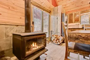 Serene and cozy updated log cabin in the woods - Image 3