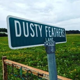 Country cottage at Dusty Feathers Ranch - Image 3