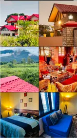 Viva Villa - Image 2