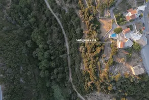 Antigoni Villa, Spacious Nature Retreat with Pool, By ThinkVilla - Image 5