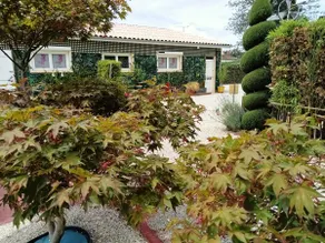 St. Emilion 10 Minuten entfernt. Eine Pause irgendwo im Ahorn- und Niwaki-Garten - Image 5