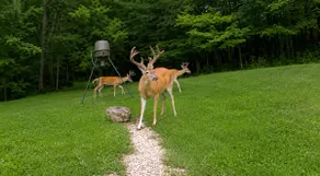 Private Hocking Hills Retreat/Hot Tub 37 Acres - Image 4