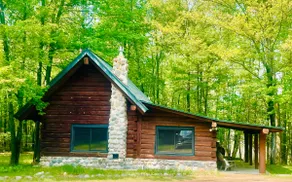 Cozy Cabin Minutes From Trails, Lakes & Town! - Image 4