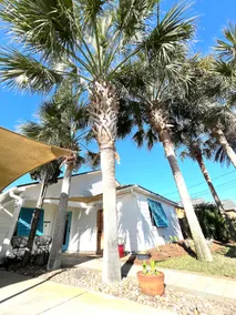 The Salty Marlin - Golf Cart\\Beach\\Pier Park\\30A - Image 3