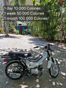 Casita - ocean view - pool - 3 min from beach - Image 2