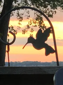 Hummingbird Haven Cottage on Lake Koshkonong - Image 4