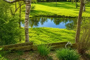 Romantic Historic Retreat - Pond - Porch - Fenced - Image 3