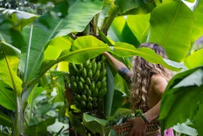 Eco Finca Fruitforest - Family & Couple Friendly - Image 4