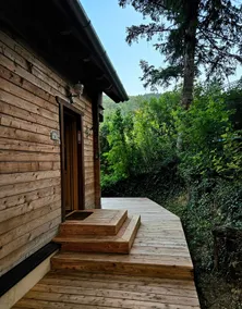 Holiday home Hengsttal - Puchberg am Schneeberg - Image 5