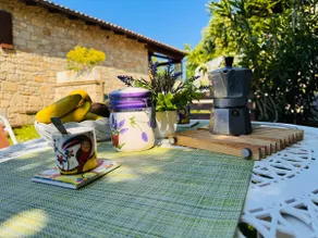 Relax house - private courtyard, woods, trails pet - Image 4