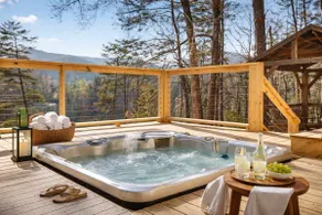 Lakeshore Retreat with Lake Lanier views & hot tub - Image 2