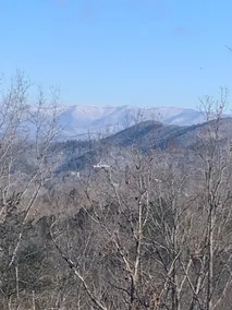 Amazing views Heaven’s Ridge 2/2 cabin/hot tub - Image 3
