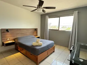 Entire House Room on Ground Floor - Heating - Image 4