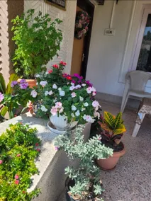 Twin Peaks Mountain View 3 bed 2 bath home stay - Image 4