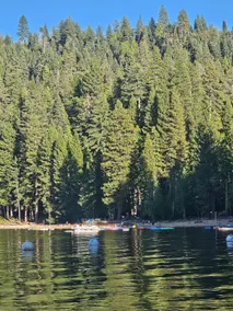 See Fall Day's Special! Pinecrest Lake 5 Min away! - Image 5