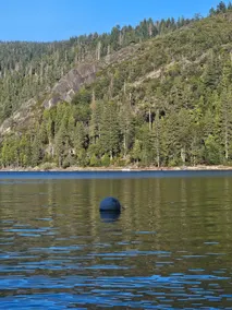 See Fall Day's Special! Pinecrest Lake 5 Min away! - Image 4