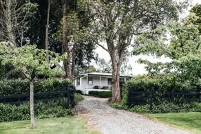 Daisy Hill Southern Highlands - Image 2