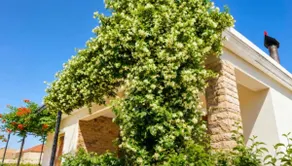 Traditional house ”Attaviros View” - Image 2