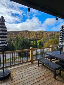 Cozy mountain home #bigviews Hawksnest~Otter Falls - Image 2